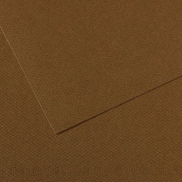 MI-TEINTES 501 TOBACCO 8.5X11