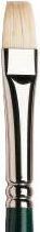 WINTON BRUSH BRIGHT 6 LONG HANDLE