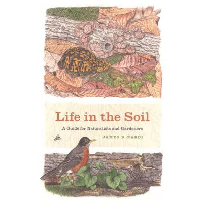 Life in the Soil
