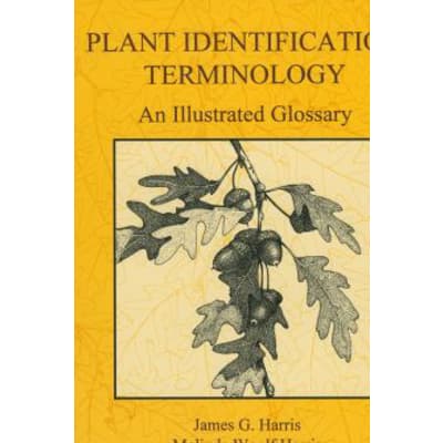 Plant Identification Terminology