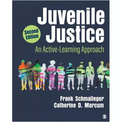 Juvenile Justice: An Active-Learning Approach