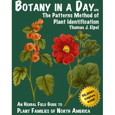 Botany in a Day
