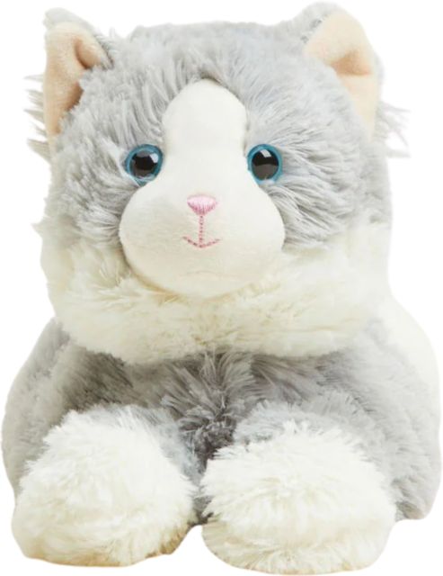 LAYING DOWN GRAY CAT